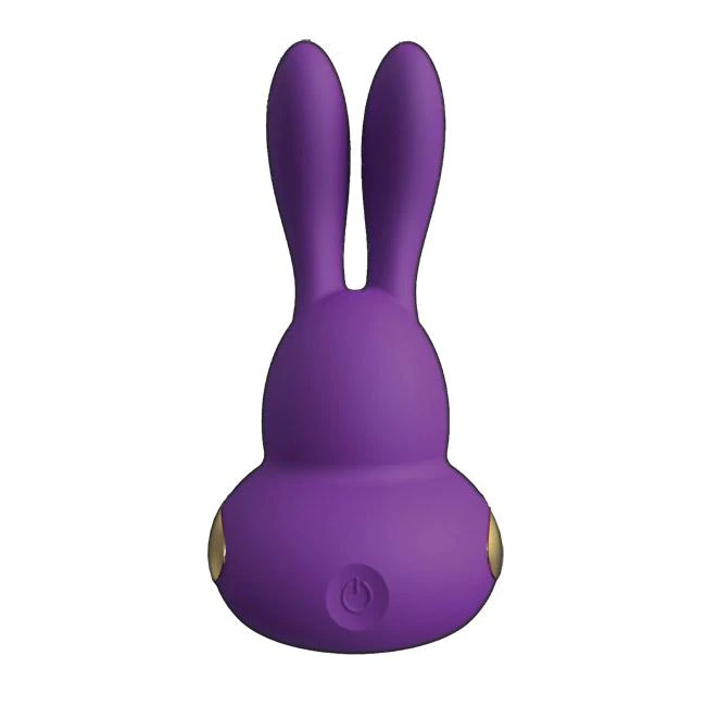 Chari Purple Bunny